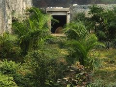 -石排湾郊野公园