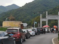 -龙坞茶村