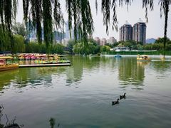 -团结湖公园