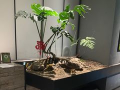 -望京辣宴·古法川菜(望京店)