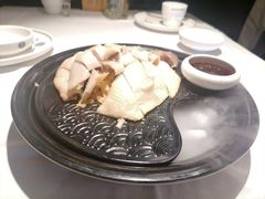 -老伙记海鲜码头(北滘店)