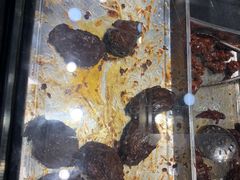 -乔波食品(杜桥中心菜场店)