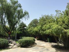 -西安青龙寺遗址景区