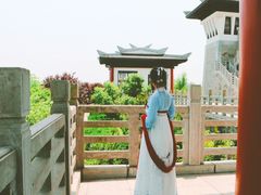 -合肥三国新城遗址公园