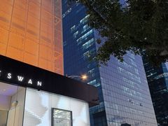-BLACKSWAN黑天鹅(环球店)