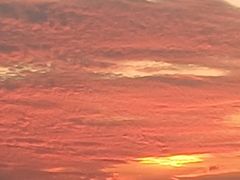 -洪利砂锅(国际佳苑店)