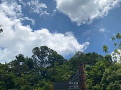 -深圳仙湖植物园