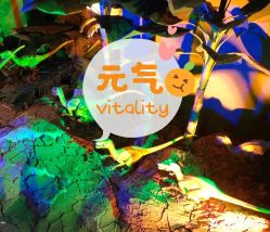 -恐龙探索乐园(磁器口店)