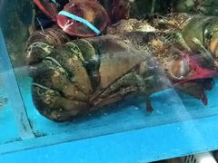 -臻悦海宴.家宴(奥体中心店)