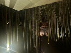 -穹六人间 people 6(岳阳路店)