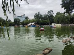 -莲湖公园