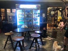 -more than meow吴止猫主题餐厅(承德 中船汇店)