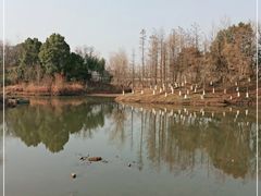 -七桥瓮公园