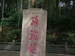 -上海佘山国家森林公园西佘山园