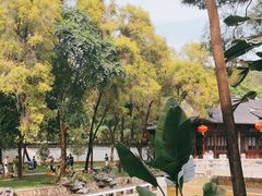 -深圳国际园林花卉博览园