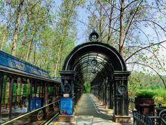 -合肥滨湖国家森林公园