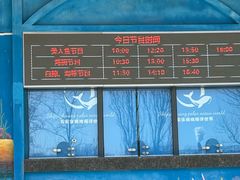 -石家庄极地海洋世界