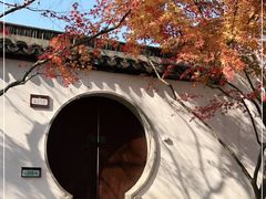-上海醉白池公园