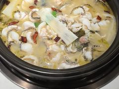 -周渝食惦酸菜鱼(青浦店)