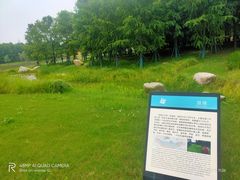 -南汇新城城市公园