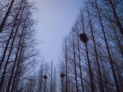 -星海广场