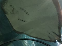 -苏州海洋馆