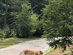 -长春净月潭风景名胜区