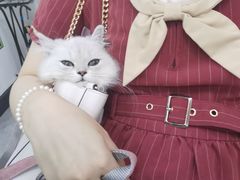 -爱诺耐芙动物医院(万博店)