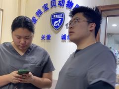 -中农大我爱我爱24h动物医院·中医针灸·猫专科·骨科医疗中心(双井店)