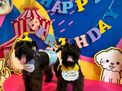 -百好乐宠物友好餐厅(朝外大街店)