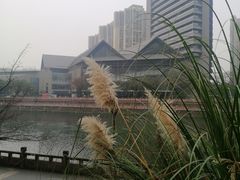 -四川大学博物馆