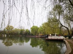 -宝鸡植物园