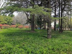 -八大关景区