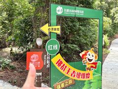 -芦仙山景区-飞越丛林探险乐园