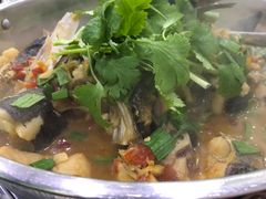 -全乐鱼馆·淳牌有机鱼直营店