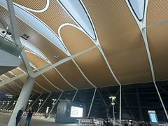 -上海浦东国际机场-T2航站楼