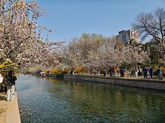 -元大都城垣遗址公园