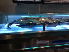 -变形金刚3D对决之终极战斗