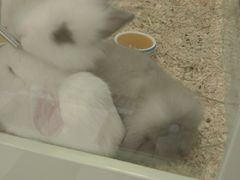 -龙猫仔乐园(惠福东路店)