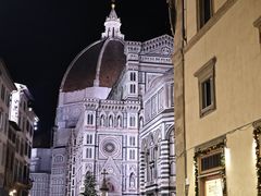 -圣母百花大教堂穹顶