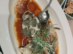 -望乡楼上海菜(陆家浜路店)