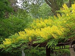 -西安市长乐公园