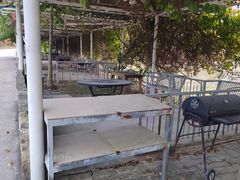 -芦仙山景区-飞越丛林探险乐园