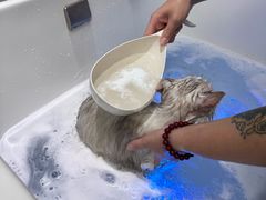 -FAELING PETS美天灵宠物(富力广场店)