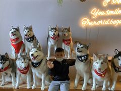 -Husky Go! 哈士奇体验馆·宠物咖啡厅狗咖