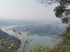 -铁山坪森林公园