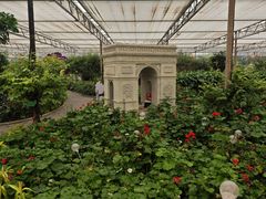 -南宫五洲植物乐园