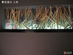 墙壁一角的装饰-外婆家(杭州马塍店·杭帮菜名店)