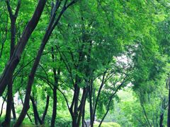 -长江路历史文化街区