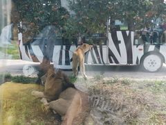 -西安秦岭野生动物园